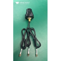 Antena de WLAN automotivo ao ar livre WH-4G-2.4-GPS-D2 